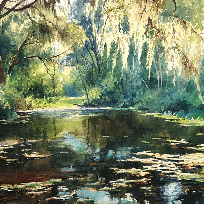 thumbnail of Gator Country