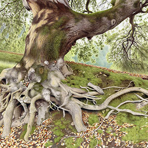 thumbnail of Tree of Tenacity