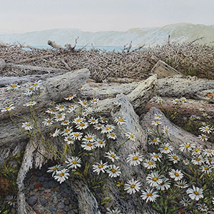 thumbnail of Of Time and Tide