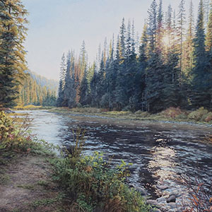 thumbnail of Afternoon Sun at Spruce Tree