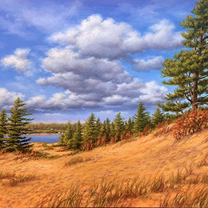 thumbnail of Michigan Dunes