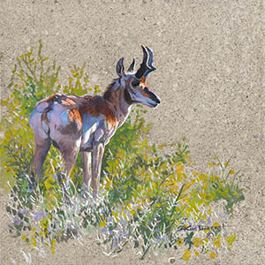 thumbnail of Home On The Range