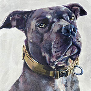 thumbnail of Odin