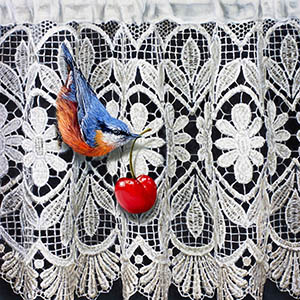 thumbnail of Nuthatch & Lace