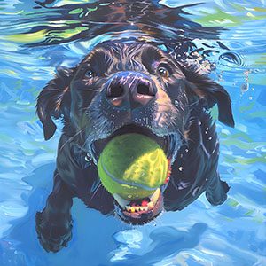 thumbnail of Fetch