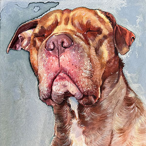 thumbnail of Henry