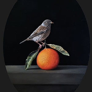 thumbnail of In Fragile Harmony
