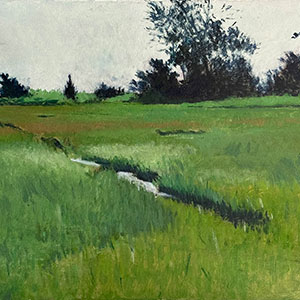 thumbnail of Salt Marsh