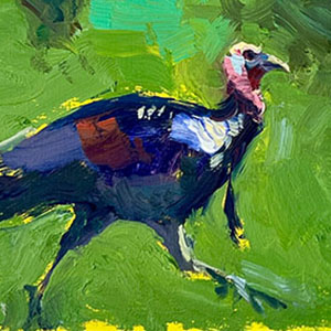 thumbnail of Turkey Trot