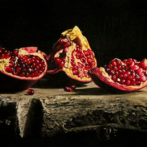 thumbnail of Seeds of Plenty