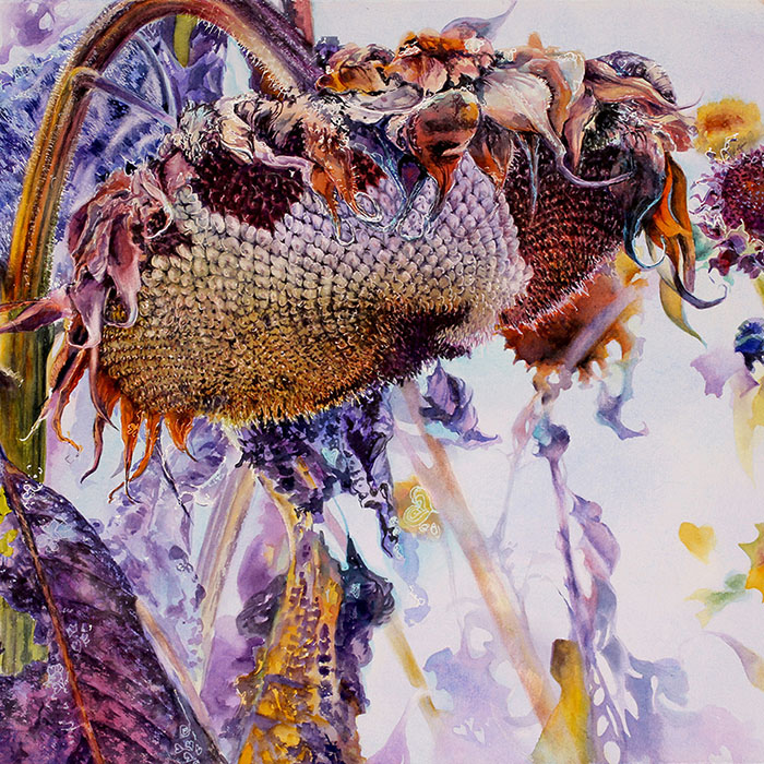 thumbnail of Golden Age - Sunflower