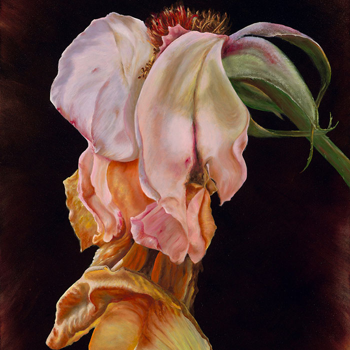 thumbnail of Goodbye English Rose