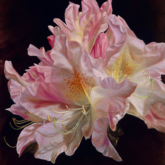thumbnail of The Blush