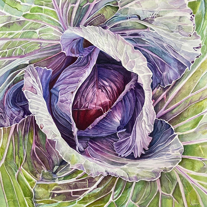 thumbnail of Dragon Eye Cabbage