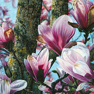thumbnail of Awakening