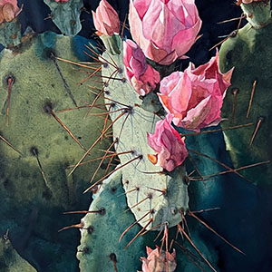 thumbnail of Desert Dainty