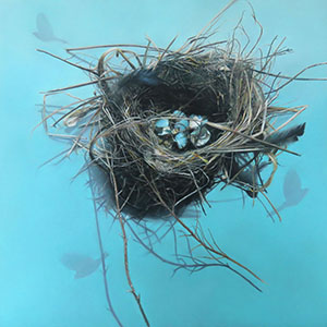 thumbnail of Empty Nest