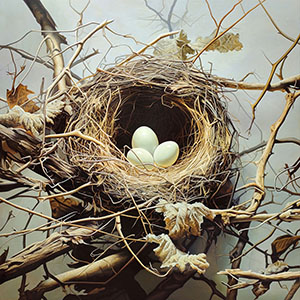 thumbnail of Nest