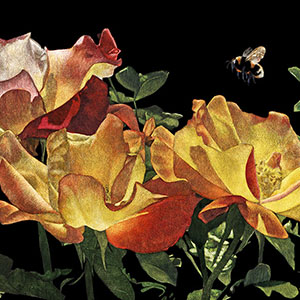 thumbnail of Persuasion