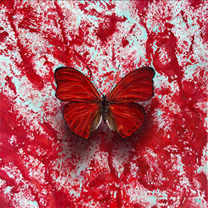 thumbnail of A Fluttering Rage