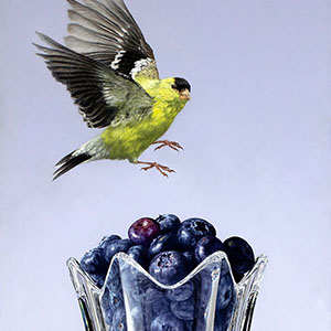 thumbnail of American Goldfinch & Blueberries