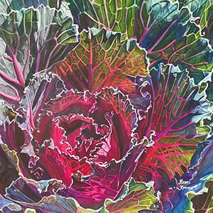 thumbnail of Cabbage of Many Colors