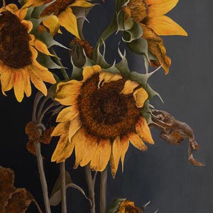 thumbnail of Zonnebloemen