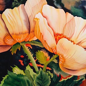 thumbnail of Poppies