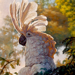 thumbnail of Maxx in the Sunlight