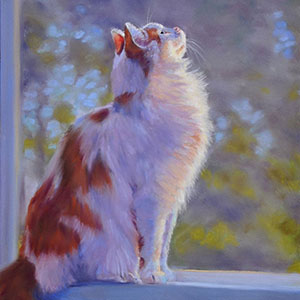 thumbnail of Morning Glow