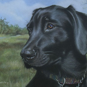 thumbnail of Freyja