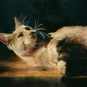 thumbnail of Purr-fect