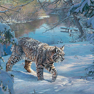 thumbnail of River Patrol