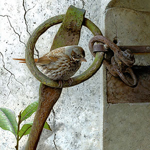 thumbnail of Unhinged