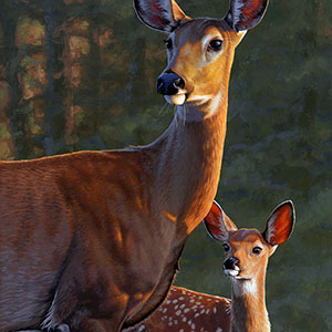 thumbnail of Generations