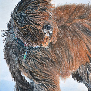 thumbnail of Winter Wind