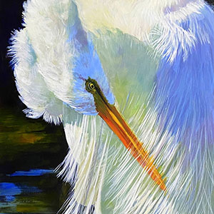 thumbnail of A Little Fluff
