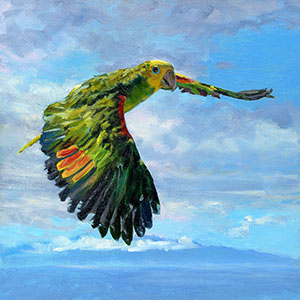 thumbnail of Free Flight