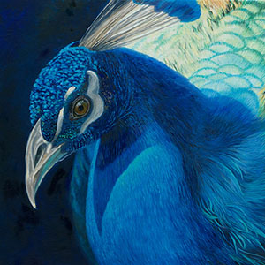 thumbnail of Eye of the Beholder