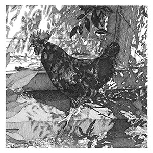 thumbnail of Dappled Light