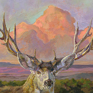 thumbnail of What a Rack!