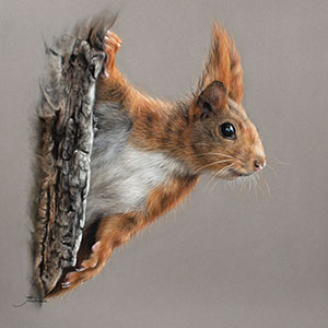 thumbnail of Le curieux