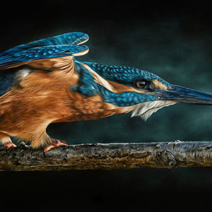thumbnail of Le pêcheur