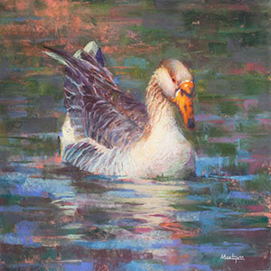 thumbnail of Out for a Swim