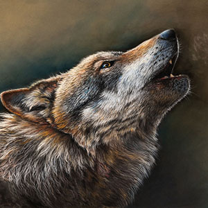 thumbnail of The call of the wild