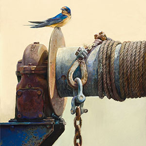 thumbnail of Finding Balance