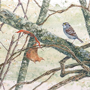 thumbnail of This Way Through
