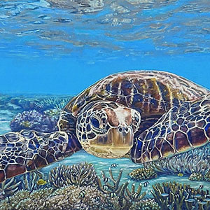thumbnail of Under the Sea