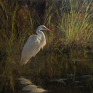 thumbnail of Wetland Solitude