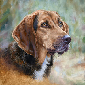thumbnail of Hunter